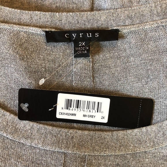 CYRUS Size 2X Scoopneck Ribbed Trim Tunic length Soft Gray Classic $88 NEW - Picture 10 of 16